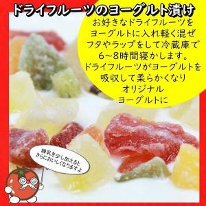 ドライキウイフルーツ 人気サイズ500g 着色...の詳細画像5