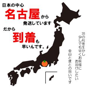 ドライレモンスライス 人気サイズ500g 国内...の詳細画像5