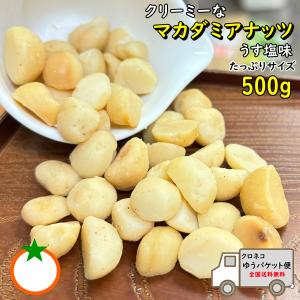 おつまみ マカダミアナッツ 500g うす塩味 送料無料｜kanayamatomato