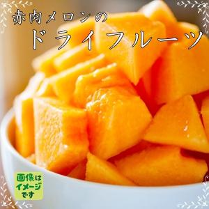 ドライメロン 人気サイズ500g 赤肉メロンの...の詳細画像1