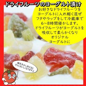 ドライメロン 人気サイズ500g 赤肉メロンの...の詳細画像2