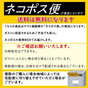ドライメロン 人気サイズ500g 赤肉メロンの...の詳細画像4