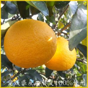 瀬戸内四国産 甘夏ピール 業務用サイズ 500...の詳細画像1