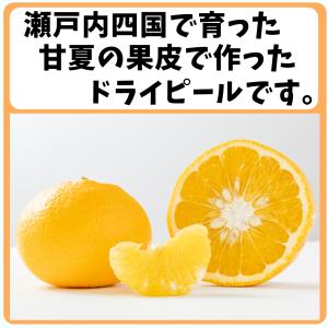 瀬戸内四国産 甘夏ピール 業務用サイズ 500...の詳細画像2