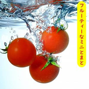 ドライトマト 500g ミニトマト丸ごと 半生...の詳細画像2