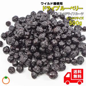 ドライブルーベリー たっぷりサイズ 500g ノ...の商品画像