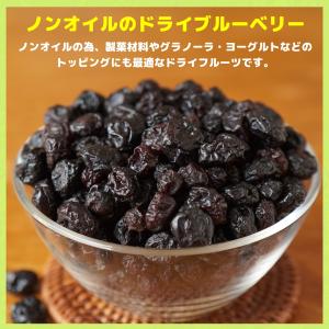 ドライブルーベリー たっぷりサイズ 500g ...の詳細画像2