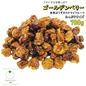 ドライ ゴールデンベリー たっぷりサイズ 700g 無添加・砂糖不使用 別名インカベリー  酸っぱさがクセになるドライフルーツ ネコポス便発送｜kanayamatomato