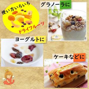 ドライマンゴー スライス たっぷりサイズ 70...の詳細画像4