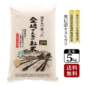 コシヒカリ お米 5kg 特別栽培米コシヒカリ 令和7年産 長野県飯山