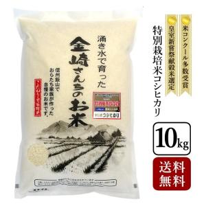 お米 10kg 特別栽培米コシヒカリ 令和5年産 長野県飯山