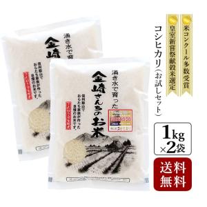 キヌヒカリ お米 2kg 奥信濃キヌヒカリ 令和7年産 長野県飯山 : 金崎