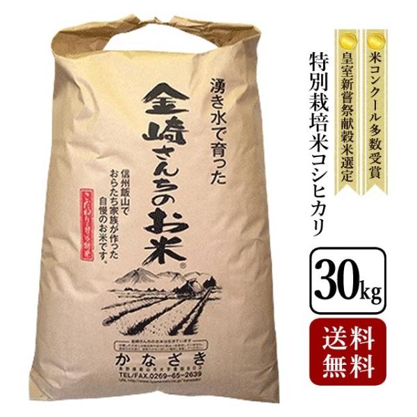 お米 30kg 特別栽培米コシヒカリ 令和5年産 紙袋入