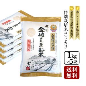 コシヒカリ 玄米 10kg 特別栽培米コシヒカリ 令和7年産 長野県飯山