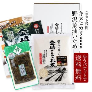 お米 奥信濃キヌヒカリ600g+野沢菜油いため150g 令和5年産 金崎さんちのお米 長野県飯山