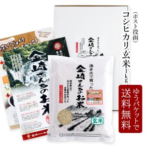 コシヒカリ お米 30kg 特別栽培米コシヒカリ 令和7年産 : 金崎さんちの