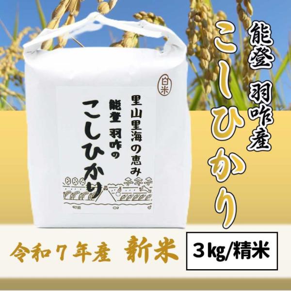 ≪いい道の駅 のと千里浜≫令和7年産新米 能登 羽咋市産 こしひかり 精米 3kg【ブランド米 能登...