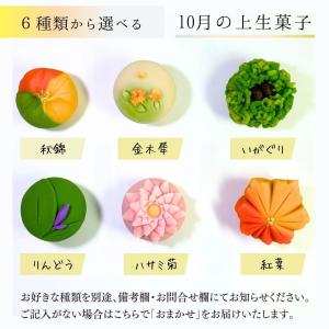 ≪菓匠まつ井≫金沢の和菓子 四季の上生菓子4個セット お好きな種類が選べます【練りきり 冷凍 季節 おすすめ 通販 お取り寄せ ギフト 月替り 】