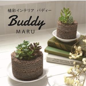 グロワーズ ツールズ ウォータリングカン 500ml(植物 水やり 水差し