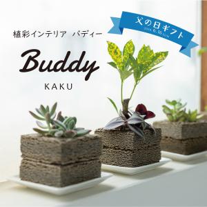 ≪トーケン≫Buddy KAKU（カク） Mサイズ｜kanazawa-honpo