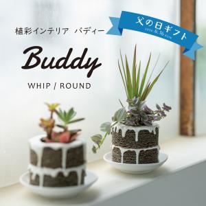 ≪トーケン≫Buddy WHIP（ホイップ） ROUND（ラウンド）｜kanazawa-honpo