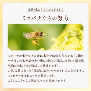 国産 はちみつ 入り 非加熱 「養蜂場が美味し...の詳細画像5