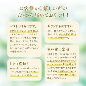 はちみつ アカシア 500g 自宅用 やまぎし...の詳細画像5