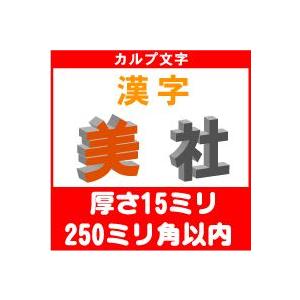 カルプ文字 立体文字 漢字一文字　厚さ15ミリ　250ミリ角以内