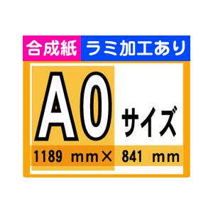 ポケモンコロシアム B2サイズポスター　ラミネート加工 1_B2.A1.jpg