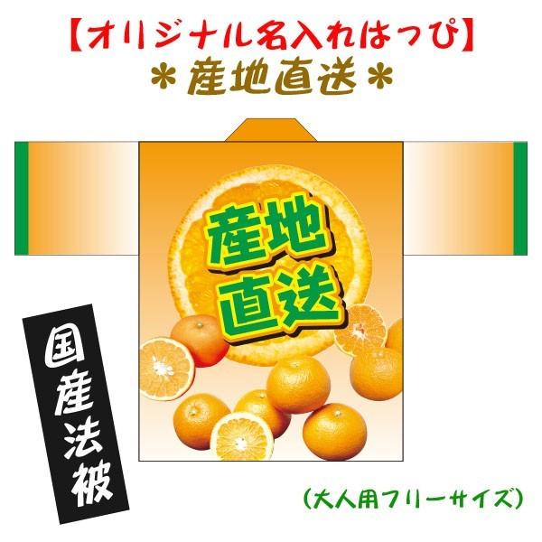 国産法被（名入れ・大人用）産地直送・みかんはっぴ 男女兼用