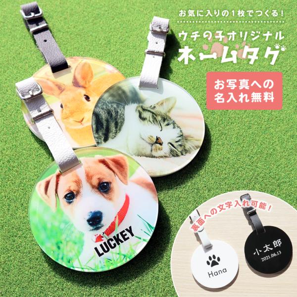 ネームタグ ゴルフ 子供 名入れ 犬 猫 写真 うちの子 おしゃれ オーダー 名札 プレゼント ペッ...