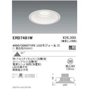 遠藤照明 安心のメーカー保証 【インボイス対応店】ERD6506WB（電源