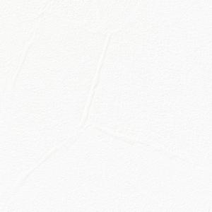 1m単位切売 サンゲツ クロス リザーブ 石・塗り RE53059 | 壁紙 壁装材｜kanbanzairyou