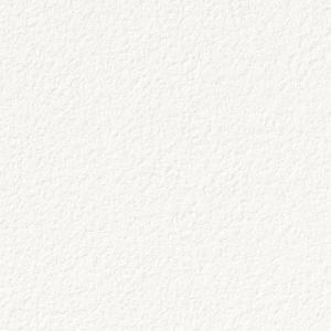 1m単位切売 サンゲツ クロス リザーブ 石・塗り RE53063 | 壁紙 壁装材｜kanbanzairyou