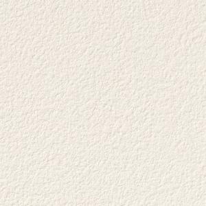 1m単位切売 サンゲツ クロス リザーブ 石・塗り RE53064 | 壁紙 壁装材｜kanbanzairyou