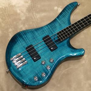Vigier ( ヴィジェ ) Arpege 5 strings, V5ECC, Amethyst Purple [S/N