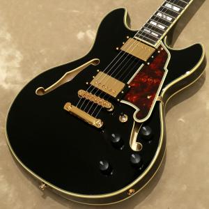 D'Angelico ( ディアンジェリコ ) エレキギター Excel Mini DC, Black