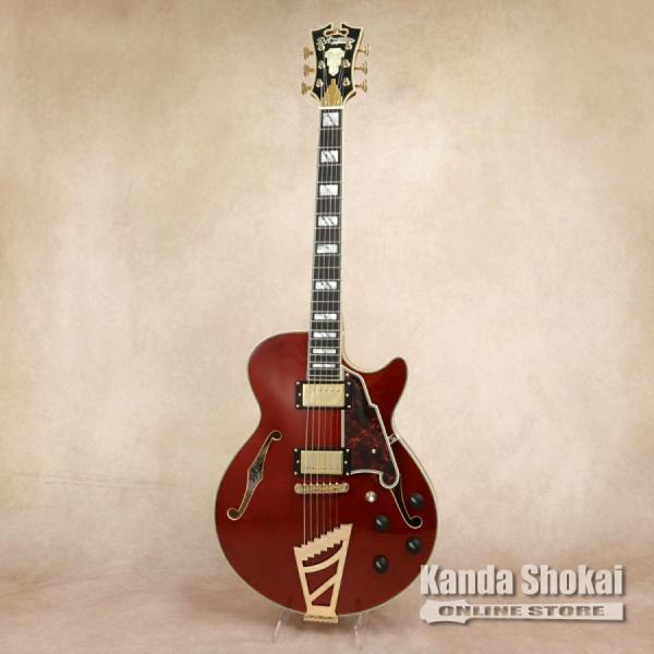 [Outlet] D'Angelico ( ディアンジェリコ ) Excel SS, Viola 【...