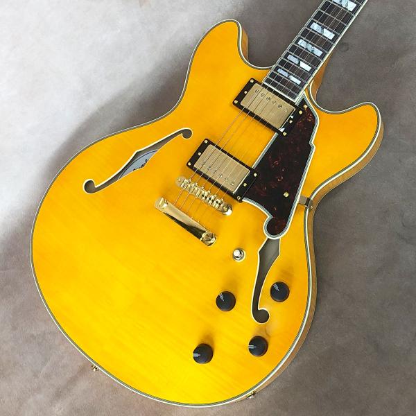 [Outlet] D'Angelico ( ディアンジェリコ ) Excel DC, Vintage...