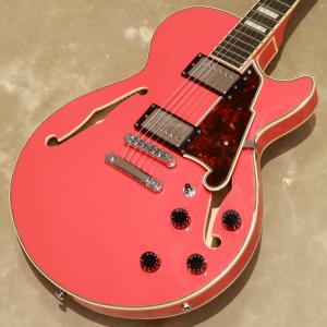 Sire Larry Carlton H7 VS サイアー ラリーカールトン サンバースト