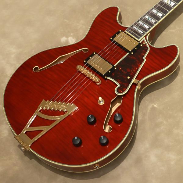 D'Angelico ( ディアンジェリコ ) Excel DC Stairstep, Viola