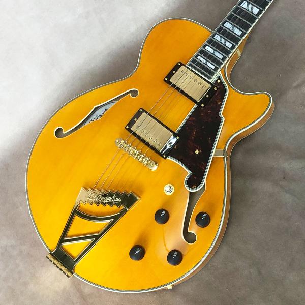 [Outlet] D'Angelico ( ディアンジェリコ ) Excel SS, Vintage...