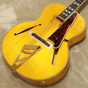 Kikuchi Guitars/Archtop NY155 Ltd Exotic Blackwood : 宮地楽器