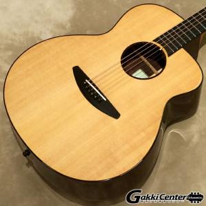 【値下げ交渉可】Baden A-Style Rosewood 初期モデル ピックアップ付き 美品 Baden A-style Model A-SR 【Rosewood】（ギグバック付