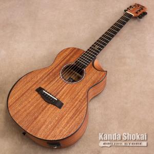Traveler Guitar ( トラベラー...の詳細画像1