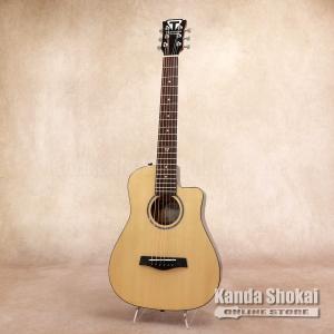 ARIA（アリア） Aria W-20D 1979年 Acoustic Guitar アコースティック