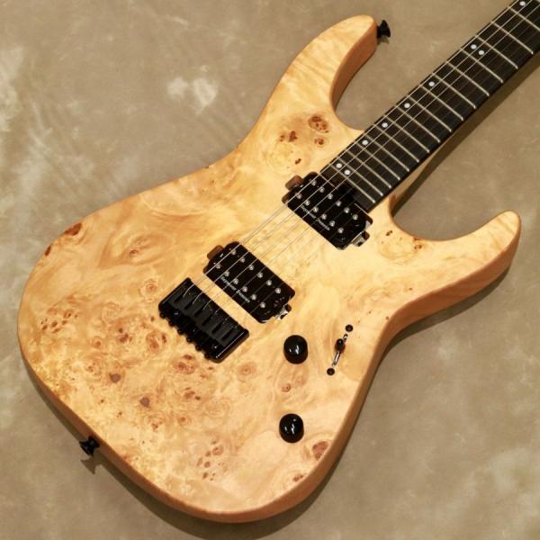 Charvel ( シャーベル ) Pro-Mod DK24 HH HT E Mahogany wi...