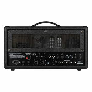 Revv Amplification Gene...の詳細画像1