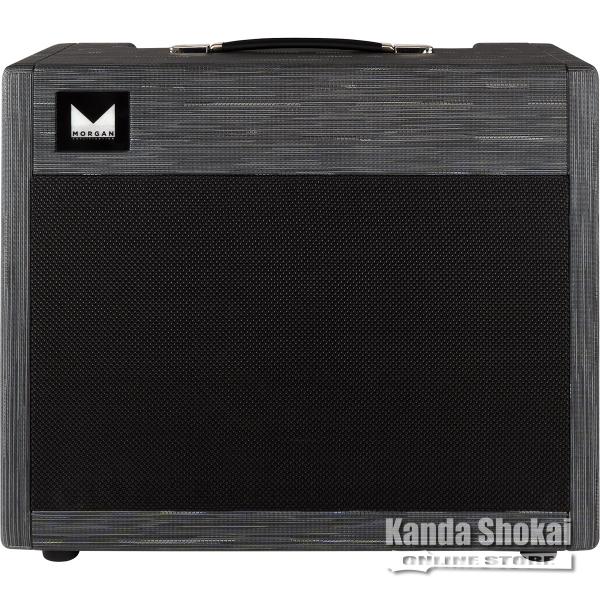 Morgan Amplification (モーガン・アンプリフィケーション) MVP66 Comb...