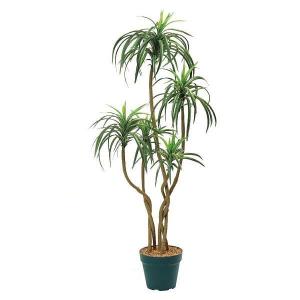 人工観葉植物 エバーフレッシュ 148cm（インテリア 造花・フェイク